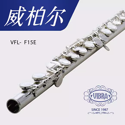 SUZUKI Suzuki treble kèn clarinet 8 lỗ SRG405 trẻ em học sinh mới bắt đầu Sáo nhạc cụ SRG200 của Đức - Nhạc cụ phương Tây